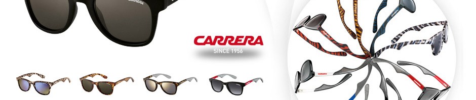 Carrera 6000